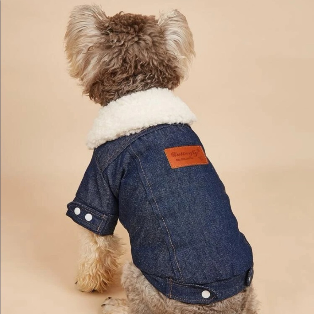 Letter graphic pet coat